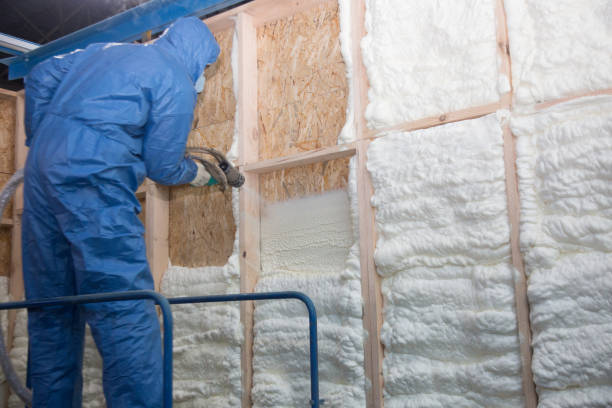 Best Insulation Removal  in Mullins, SC